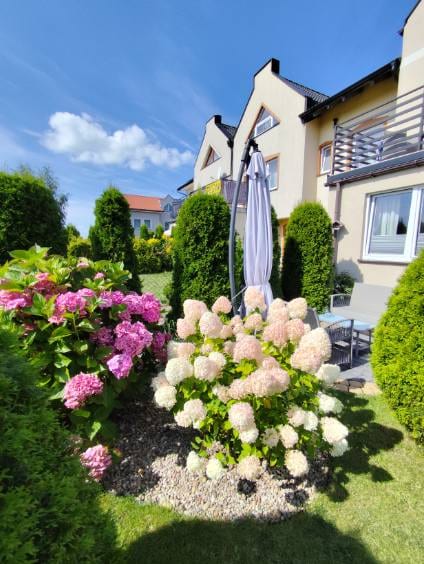 Jędrula — zdjęcie