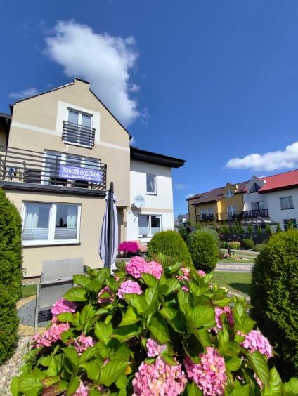 Jędrula — zdjęcie