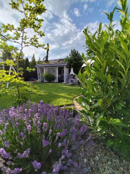 Jędrula — zdjęcie