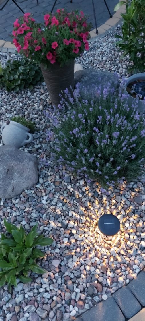 Jędrula — zdjęcie