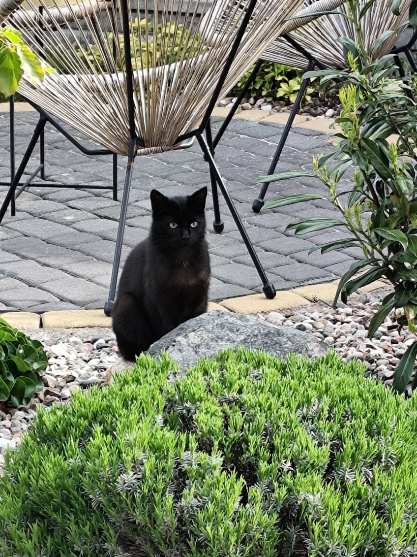 Jędrula — zdjęcie